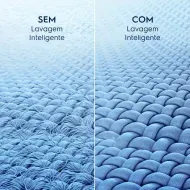282597-1000-1000